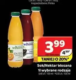 Delfin Sok Wosana oferta