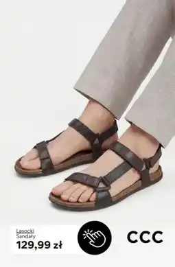 CCC Sandały Lasocki oferta