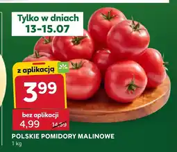 Stokrotka Express Pomidory oferta