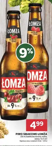 Stokrotka Piwo Łomża oferta