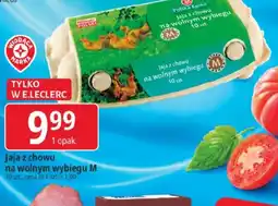 E.Leclerc Jaja z chowu na wolnym wybiegu M oferta