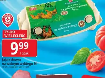E.Leclerc Jaja z chowu na wolnym wybiegu M oferta