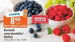 E.Leclerc Borówki amerykańskie/maliny oferta
