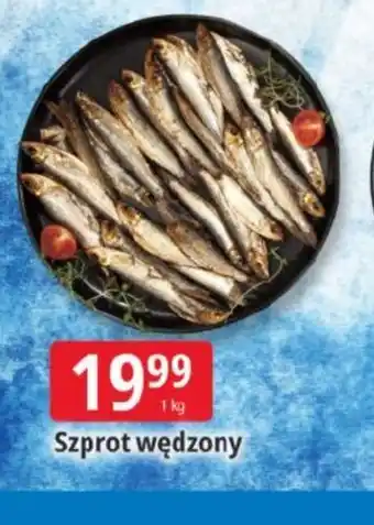 E.Leclerc Szprot wędzony oferta