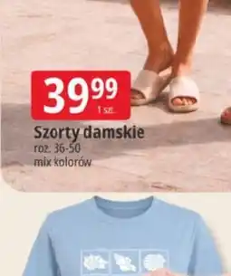 E.Leclerc Szorty damskie oferta