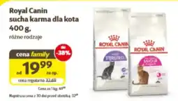 Kakadu Karma dla kota Royal Canin oferta