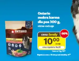 Kakadu Karma dla psa Ontario oferta