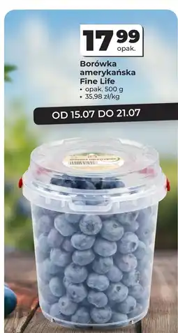 Odido Borówka amerykańska Fine life oferta