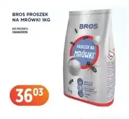 LEO Market Proszek na mrówki Bros oferta