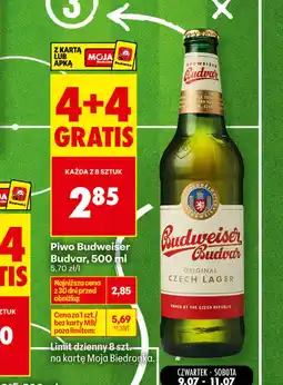 Biedronka Piwo Budweiser oferta