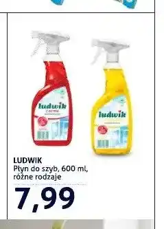 Blue Stop Płyn do szyb Ludwik Grapefruit oferta
