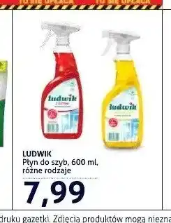 Blue Stop Płyn do szyb Ludwik z alkoholem oferta