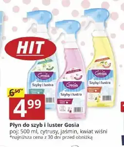 Prymus-AGD Płyn do szyb i luster Gosia Cytrusy oferta