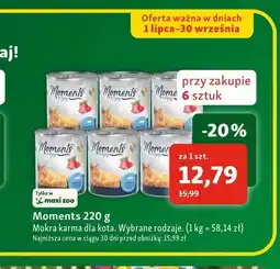 Maxi Zoo Karma dla kotów mokra Moments oferta