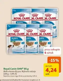 Maxi Zoo Mokra karma dla psa Royal Canin SHN Puppy Mini oferta