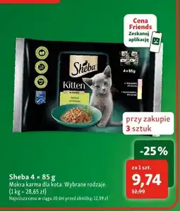 Maxi Zoo Mokra karma dla kota Sheba 4-pak oferta