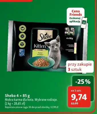 Maxi Zoo Mokra karma dla kota Sheba 4-pak oferta