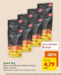 Maxi Zoo Mokra karma dla kota Josera oferta