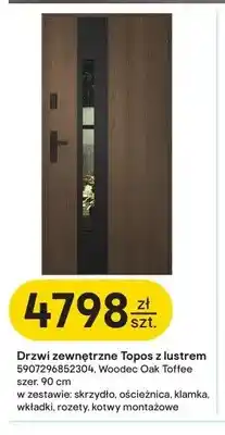 Castorama Drzwi zewnętrzne Topos z lustrem Wiśniowski oferta