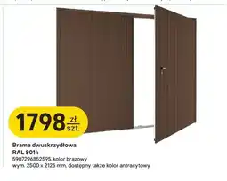 Castorama Brama dwuskrzydłowa Wiśniowski oferta