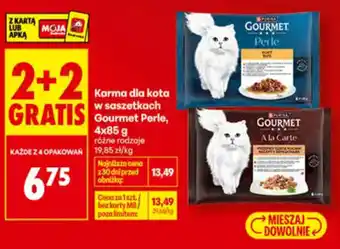 Biedronka Karma dla kota Gourmet oferta