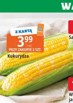 E.Leclerc Kukurydza oferta