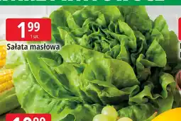 E.Leclerc Sałata masłowa oferta