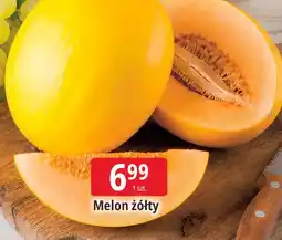 E.Leclerc Melon żółty oferta