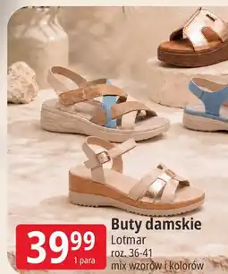E.Leclerc Buty damskie Lotmar oferta