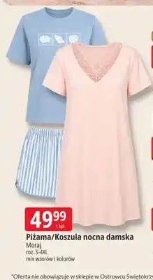 E.Leclerc Piżama damska Moraj oferta
