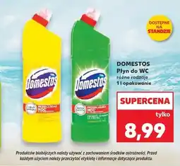 Kaufland Płyn do WC Domestos Citrus oferta