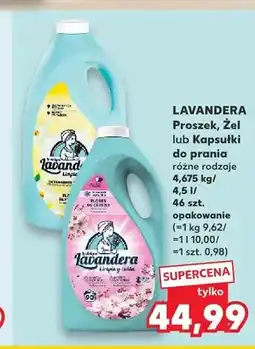 Kaufland Proszek do prania Lavandera oferta