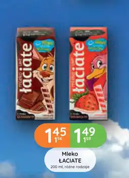 Eurocash Dystrybucja Mleko łaciate oferta