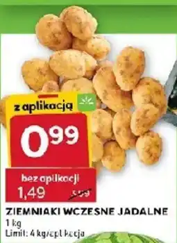 Stokrotka ZIEMNIaki WCZESNE JADALNE oferta
