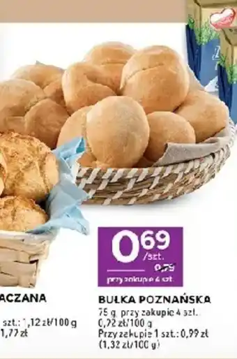 Stokrotka Bulka Poznańska oferta