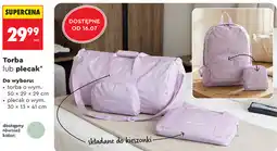 Biedronka Torba lub plecak WINGS oferta