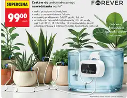 Biedronka Forever Zestaw do automatycznego nawadniania roślin oferta