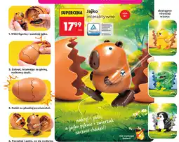 Biedronka Jajko interaktywne oferta