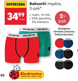 Biedronka Iguana Bokserki męskie, 2-pak oferta