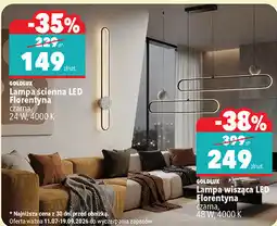 Biedronka Lampy wiszące i ścienne LED Florentyna Goldlux oferta