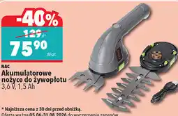 Biedronka NAC Akumulatorowe nożyce do żywopłotu 3,6 V, 1,5 Ah oferta
