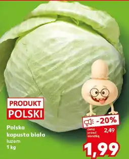 Kaufland Polska kapusta biała oferta