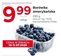 Frac Borówka amerykańska oferta