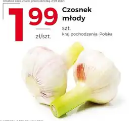 Frac Czosnek młody oferta
