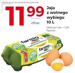 Frac Jaja z wolnego wybiegu oferta