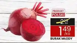 Wafelek Burak Młody oferta