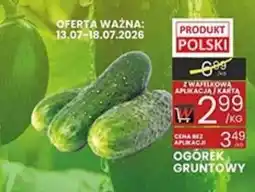 Wafelek Ogórek Gruntowy oferta