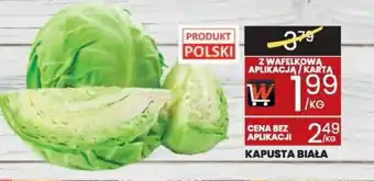 Wafelek Kapusta Biała oferta