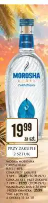 Dino WÓDKA MOROSHA CARPATHIAN oferta