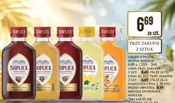 Dino SOPLICA oferta